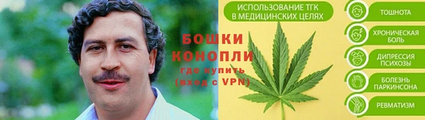 гидра Киров