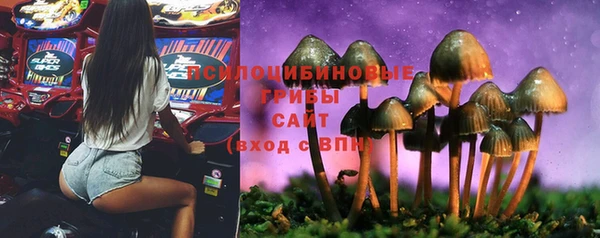 героин Краснослободск