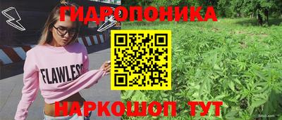 spice Берёзовский