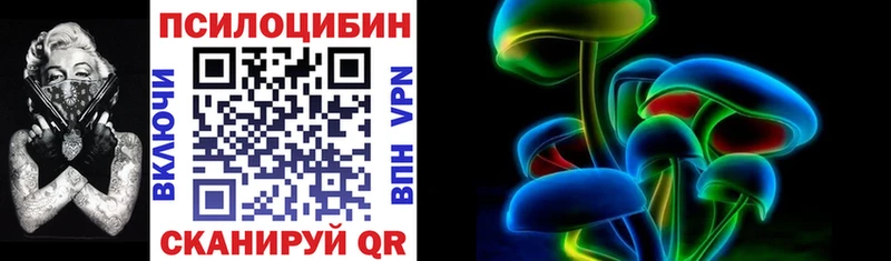 что такое   Новомосковск  hydra ТОР  Псилоцибиновые грибы мицелий 