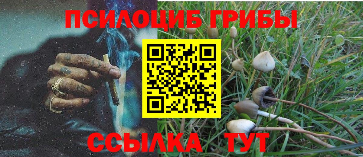 Галлюциногенные грибы MAGIC MUSHROOMS Новомосковск