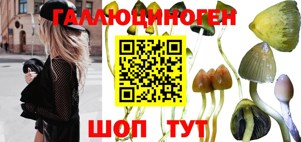 Галлюциногенные грибы GOLDEN TEACHER Новомосковск