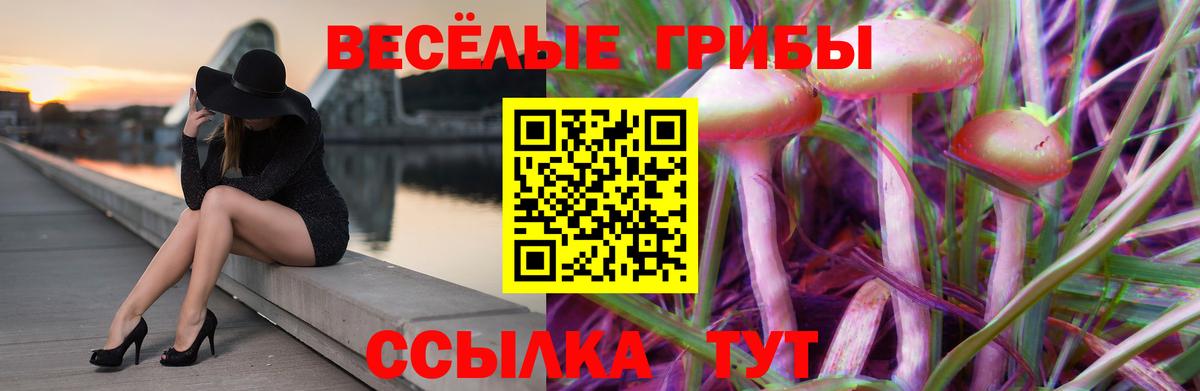 купить закладку  Новомосковск  Галлюциногенные грибы ЛСД 